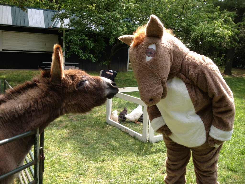 nyra-family-fun-days-event-kings