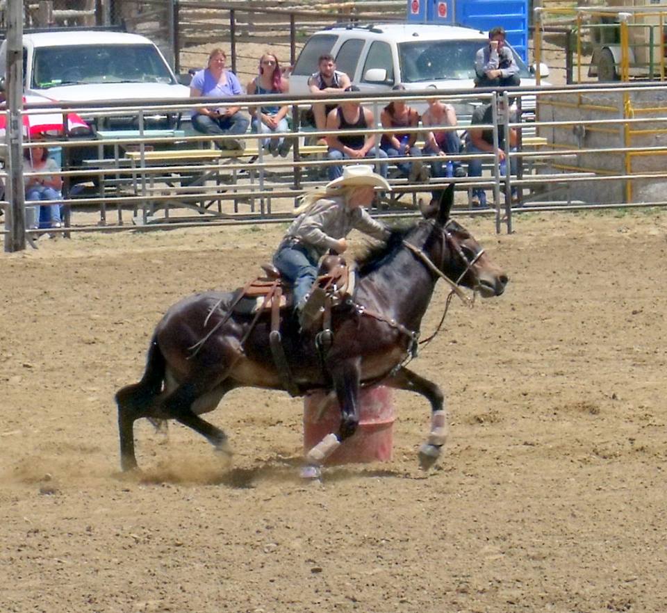 On the Road Jake Clark's Mule Days Ralston, WY
