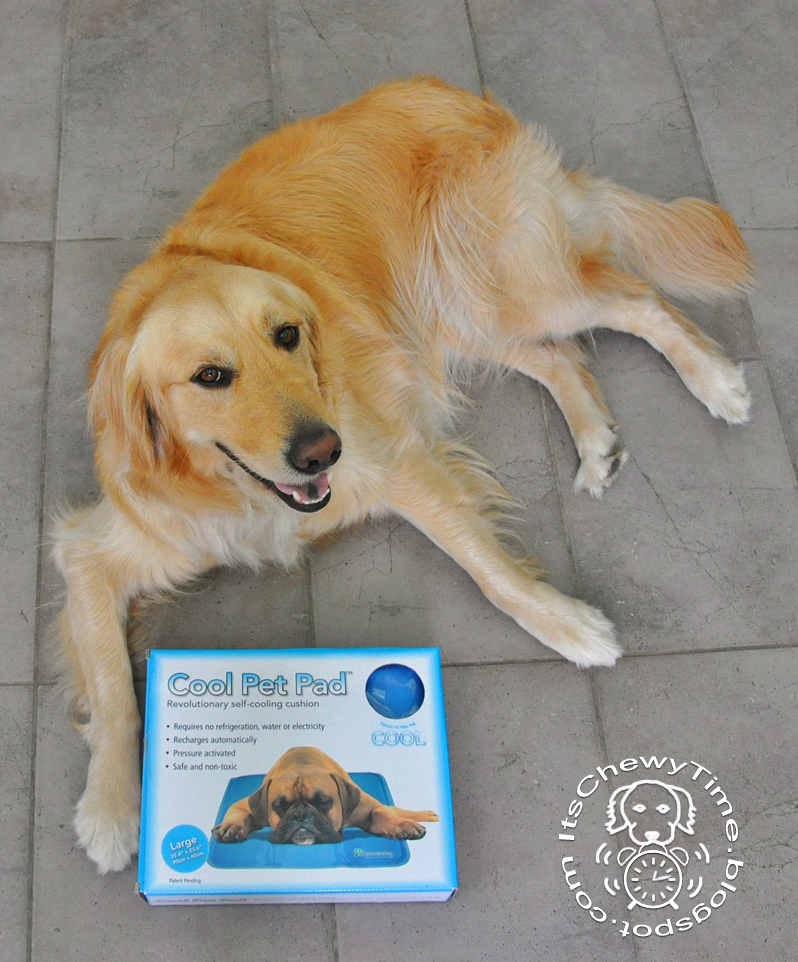 the green pet shop cooling pad reviews