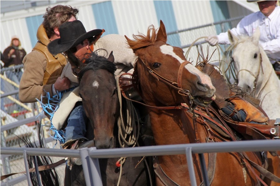 PRO LEISURE CIRCUIT RODEO