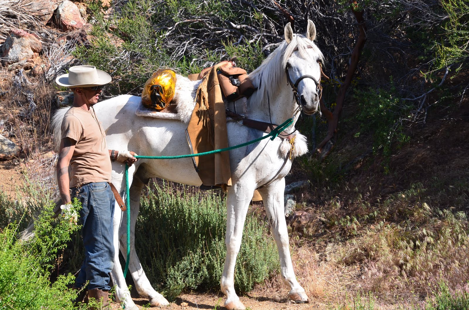 THE EQUINE NOMAD Rattlesnakes, Quicksand, and a Lame Horse