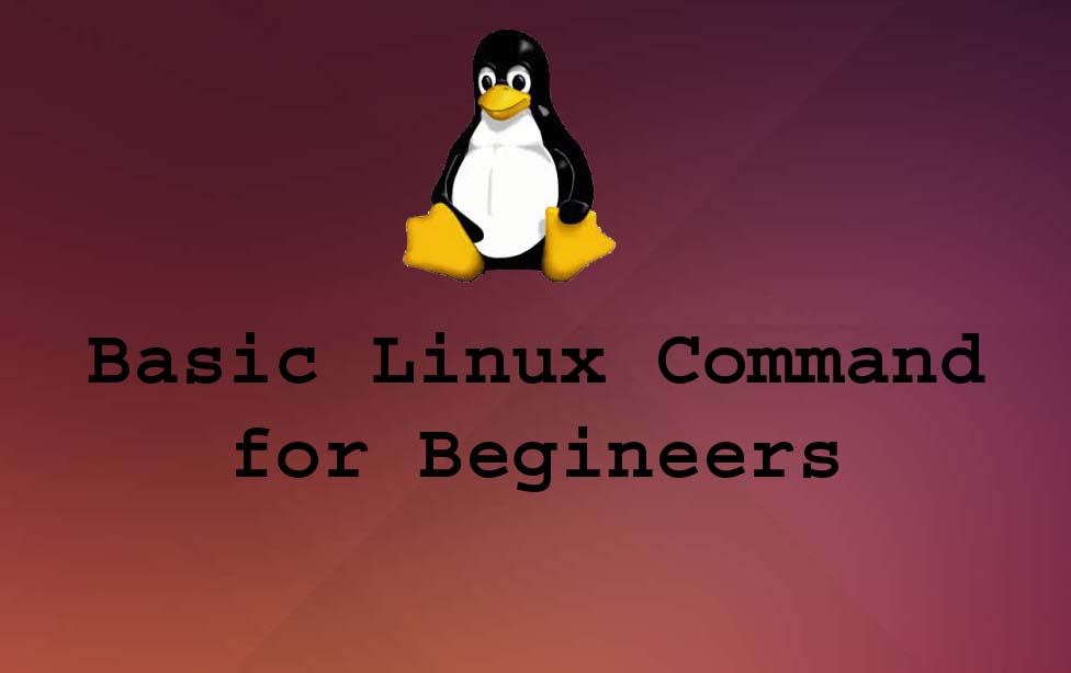 Basic Linux Commands for Beginners