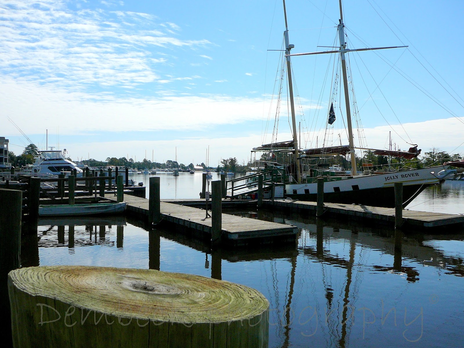 Third Age Traveler FRIDAY'S FOTO SOUTH CAROLINA'S