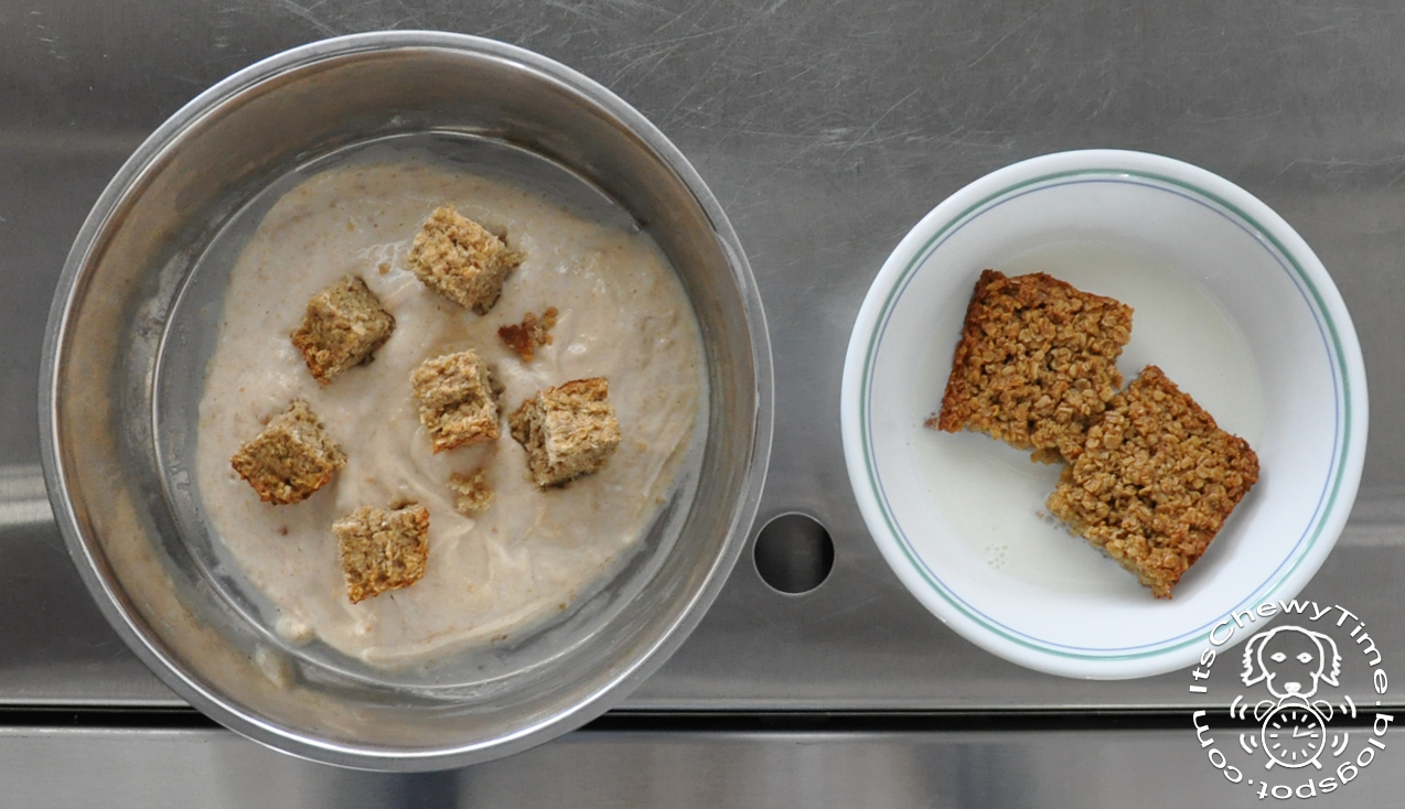 It's Chewy Time! Tasty Tuesday Baked Oatmeal for Dogs