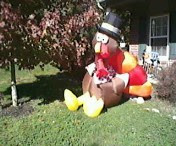 Giant Inflatable Turkey Balloon for Thanksgiving