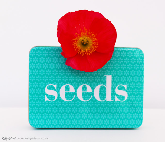 Iceland Poppy and Seed Tin