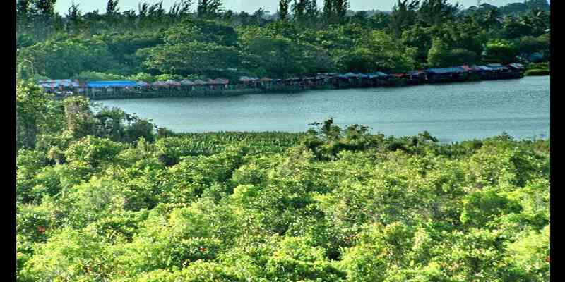 Mitos Buaya Buntung Danau Dendam Tak Sudah di Bengkulu