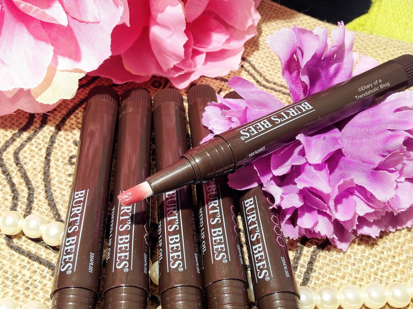 Diary of a Trendaholic Burt’s Bees Tinted Lip Oil Review