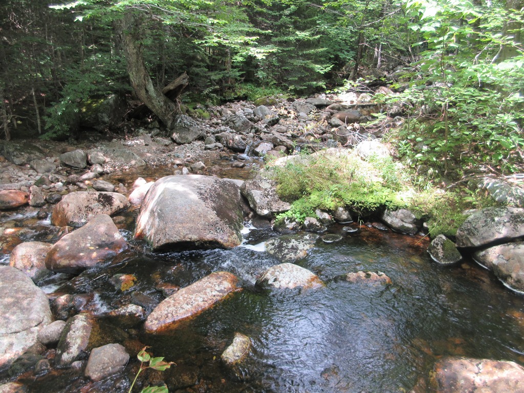 Mountain Wandering FLAT MOUNTAIN POND RAMBLE 7/26/17