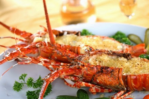 bo si tom hum bỏ sỉ tôm hùm ship đi cả nước