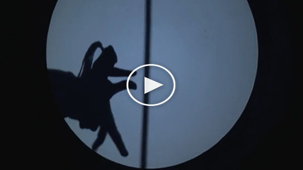 amazing talent by a Shadow Performer