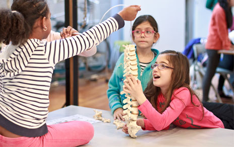 Talleres-infantiles-Museo-Nacional-de-Ciencias-Naturales-Madrid