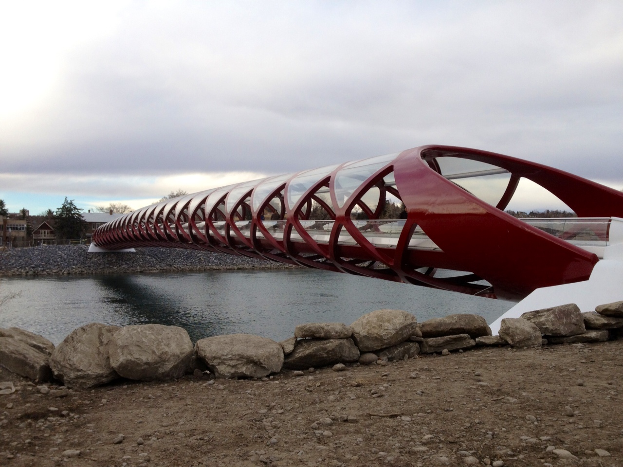 Calgary Daily Photo Calgary Peace Bridge