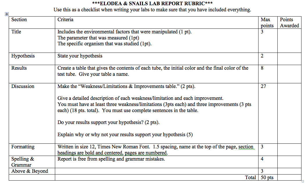 High school lab report rubric picture