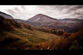 Trentino wine region