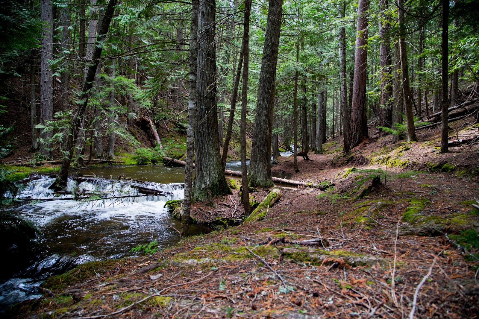 On The Road Full Time Rving Robinson Lake Bonners Ferry ID