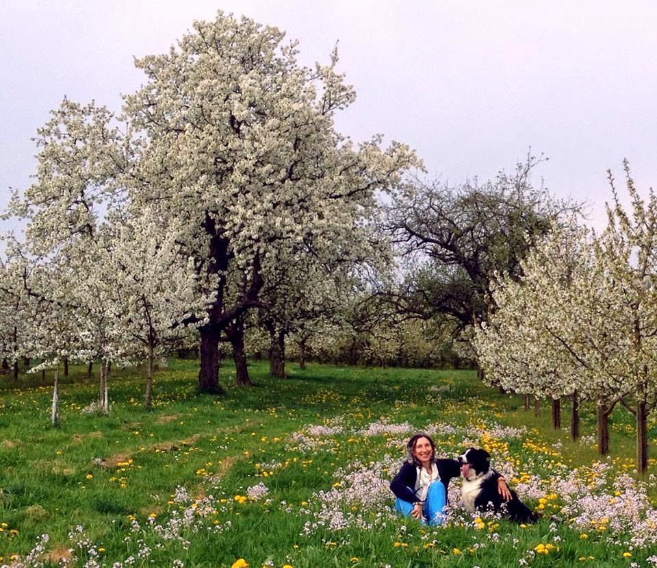 Paula in the Cherry blossoms in the frozen north