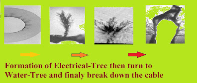 Formation of Electrical-Tree & Water-Tree in Power Cable