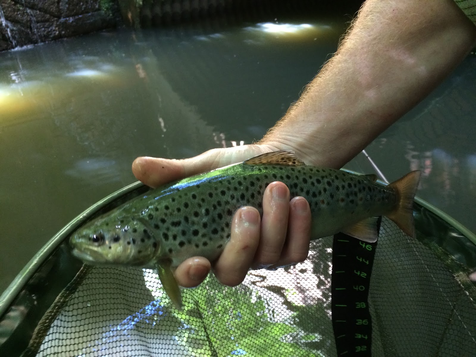 Fishing the Irwell An Urban Fly Fishing Journey Undiscovered Urban