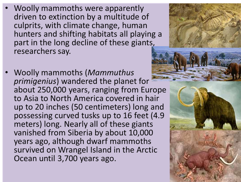 Dr Mat: Why the mammoths really vanished; Mammoths Wiped Out By