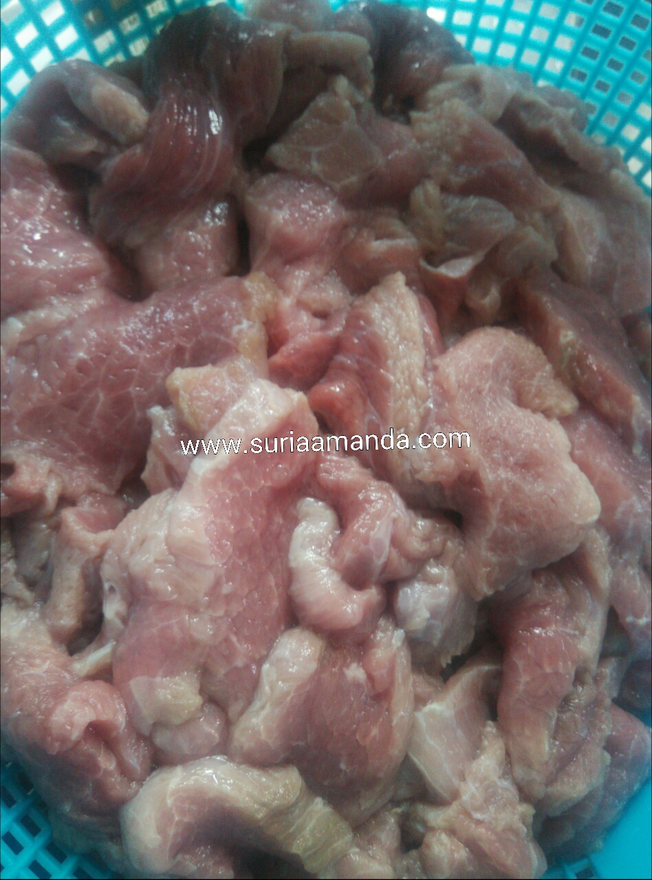 Suria Amanda Daging Rusa Masak Lemak Cili Api