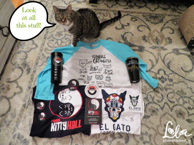 cat cafes, swag, giveaway