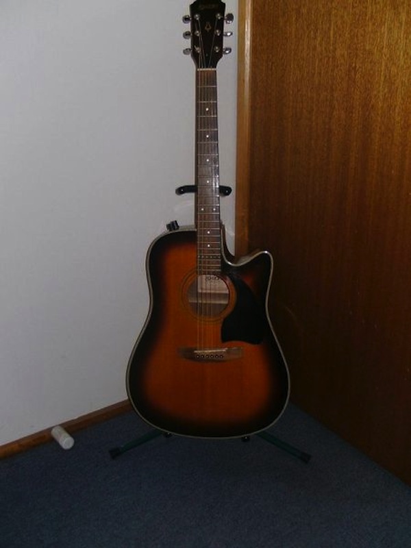 Daion Guitars Down Under Daion Acoustic/Electric on
