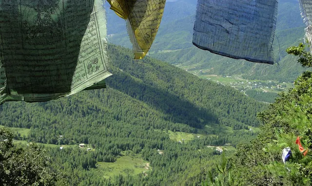 Gambar hutan di Negara Bhutan