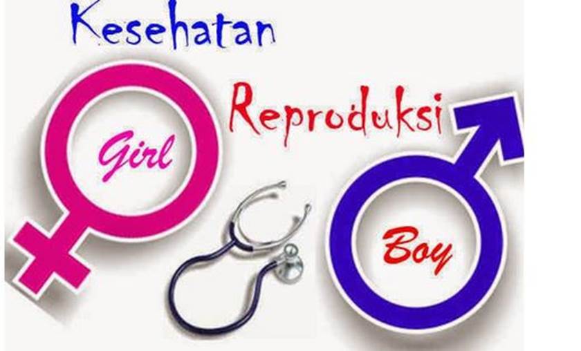 Penyakit dan Gangguan yang Berhubungan dengan Sistem