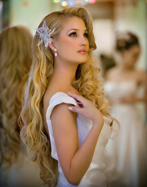 Elegant Bridal Hair Style From The Collection Of 2013 & 2014