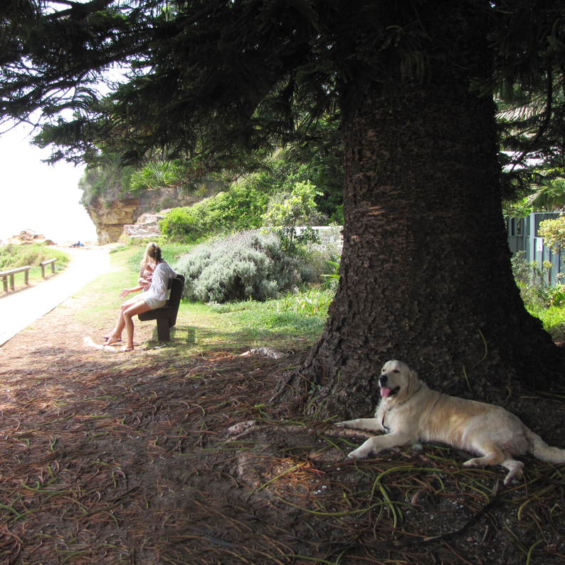 Elkhorn Elkhorn's Central Coast Favourites Avoca