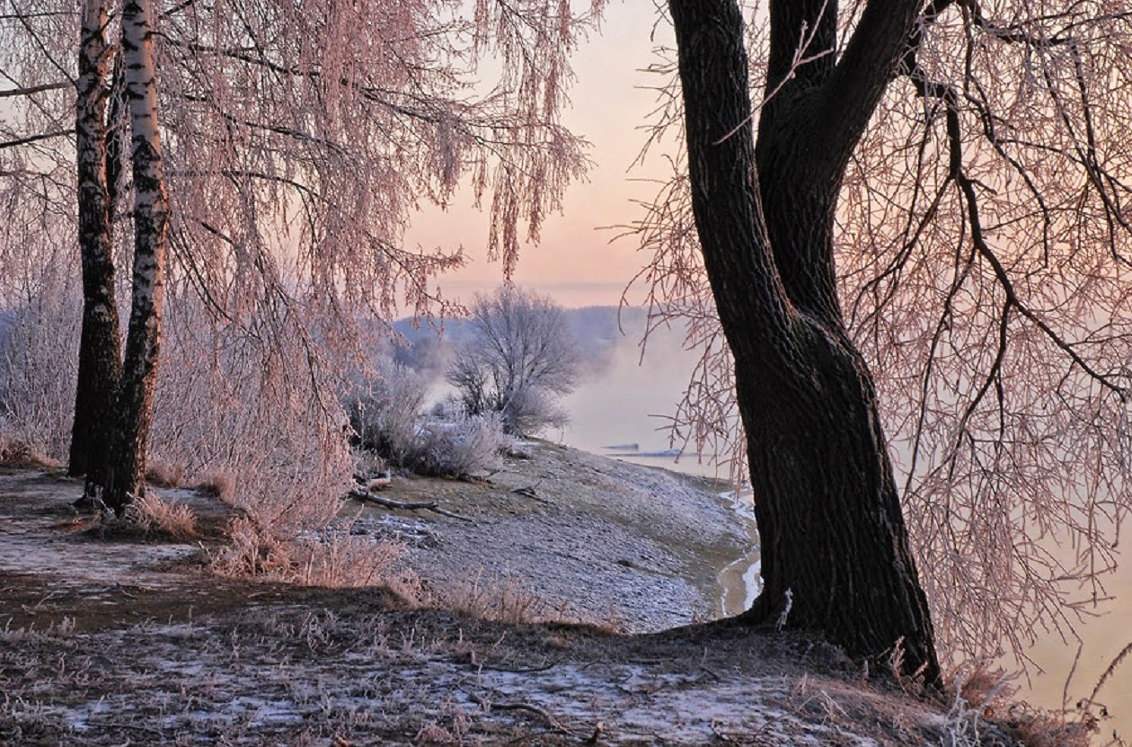 иней осенью. осень. иней осенью. Autumn frost. осенние заморозки.