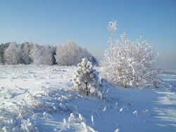 wallpapers snow desktop bonewallpaper nature