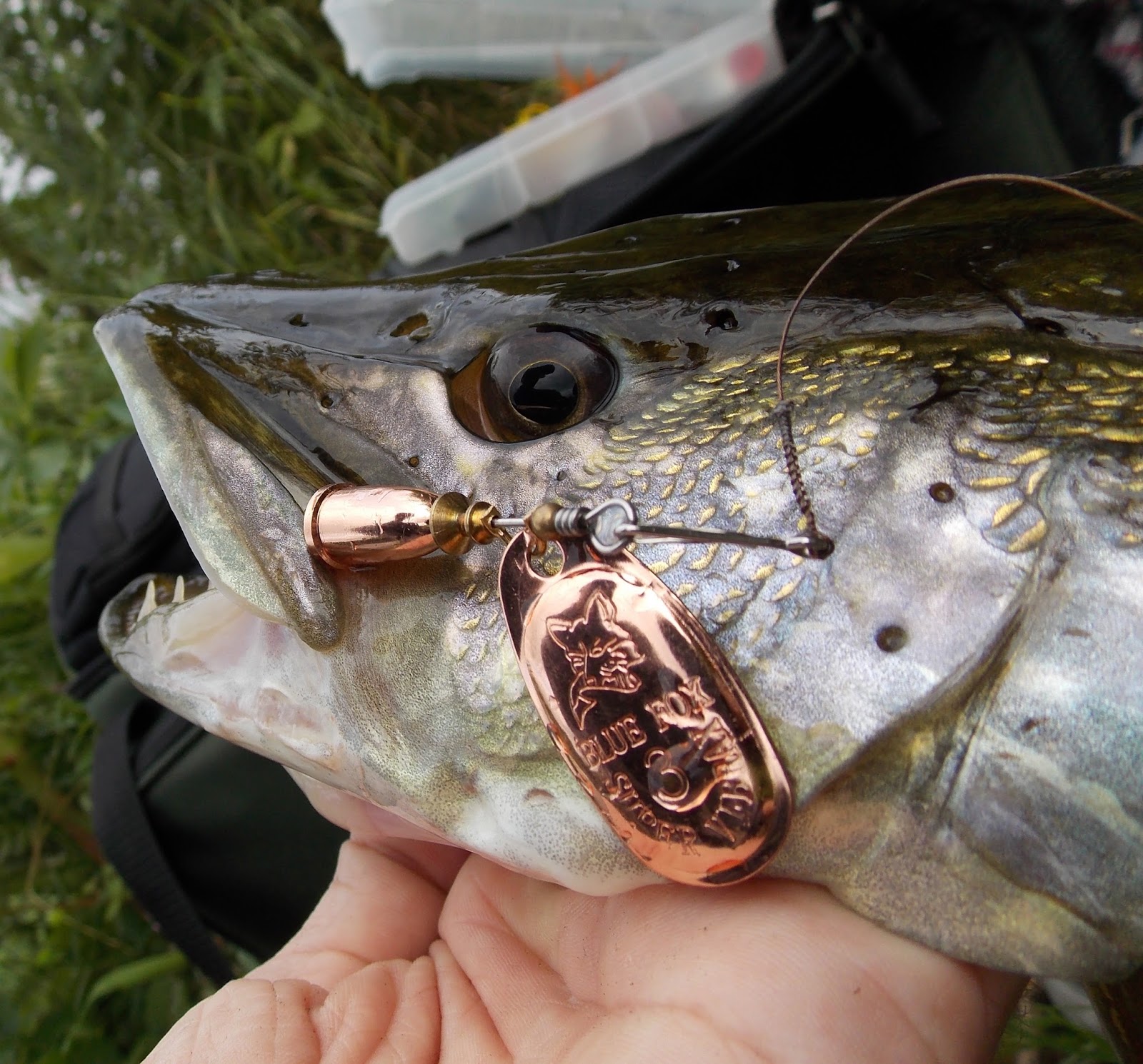 Resultado de imagen para vibrax original fish