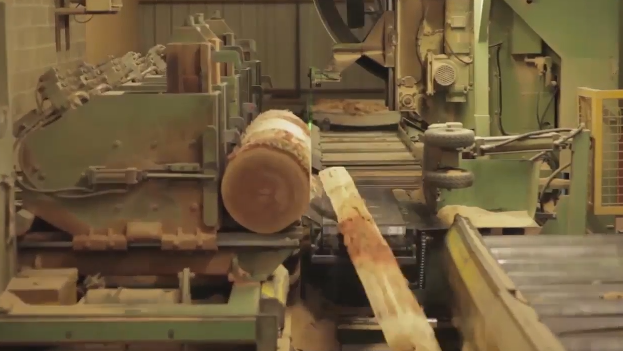 MEC&F Expert Engineers Mohawk Industries worker Seedy Bah died from his injuries sustained