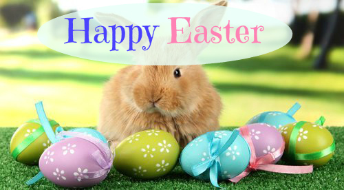 Happy Easter, Easter bunnies
