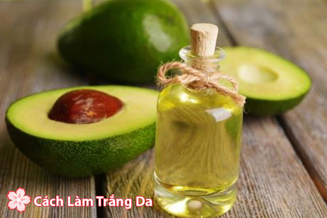 Làm đẹp từ trái bơ cho mọi lứa tuổi Làm đẹp từ trái bơ cho mọi lứa tuổi