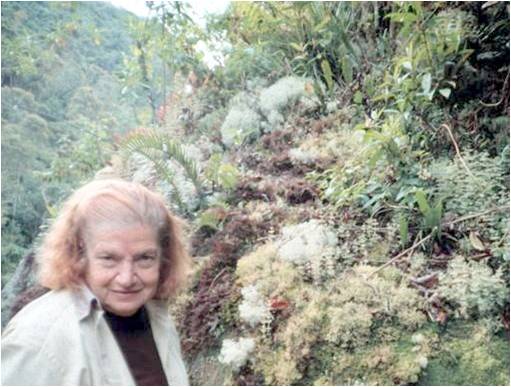 Biblioteca Setorial da PósGraduação em Educação Ambiental Sala Verde