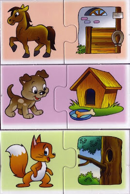 animales y sus casas