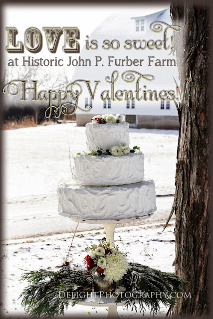 historic john p furber farm, delight photography