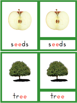 "Making Montessori Ours": Green Series Reading Materials, Montessori