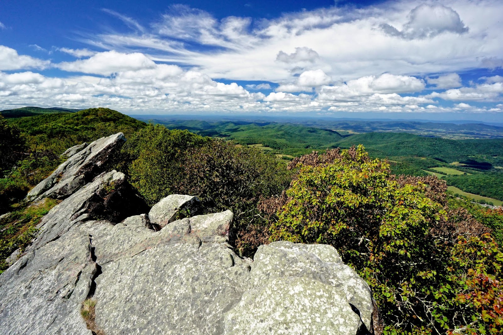 Discover West Virginia An Eye in the SkyHanging Rock Raptor Observatory