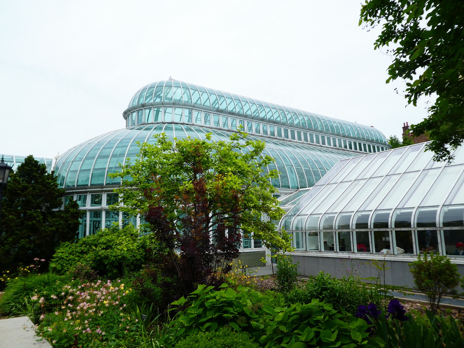 Cuaderno de viajes: New York, el Jardín Botánico de Brooklyn