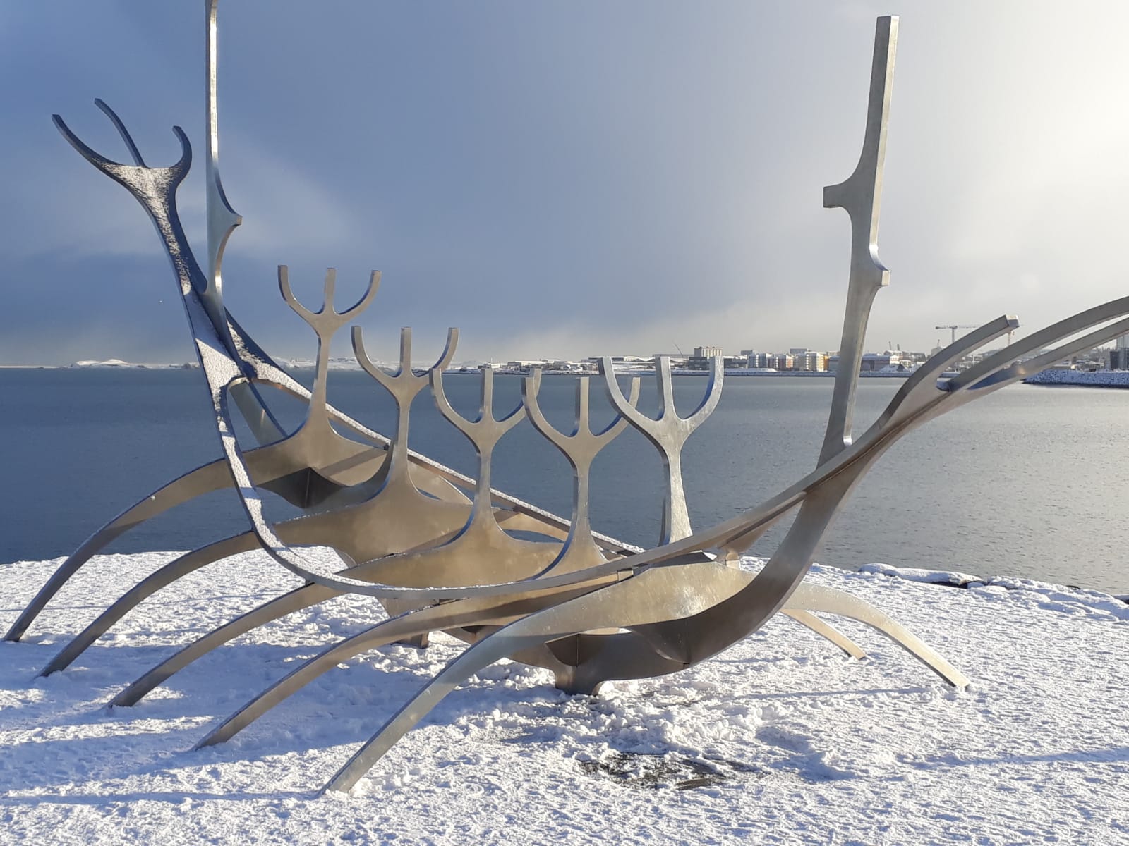 Schampus Mit Lachsfisch 2019