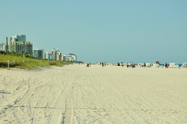 _DSC0431%2B%25282%2529%2B%25E2%2580%2594