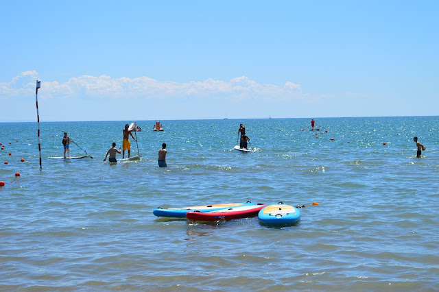 lignano pineta