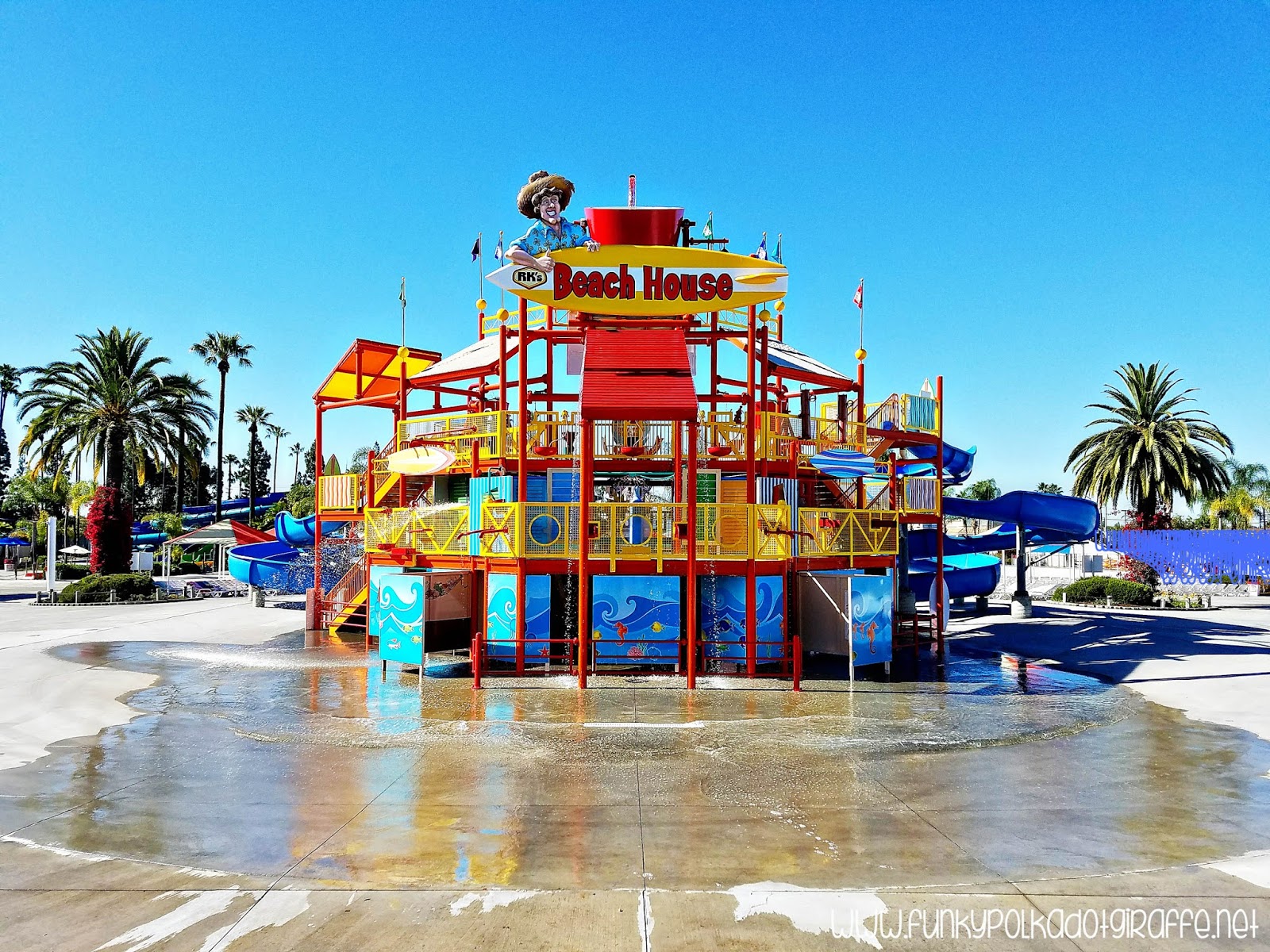 Funky Polkadot Giraffe The Five {BEST} Things About Knott's Soak City