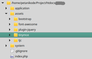 Lokasi TinyMCE pada proyek web
