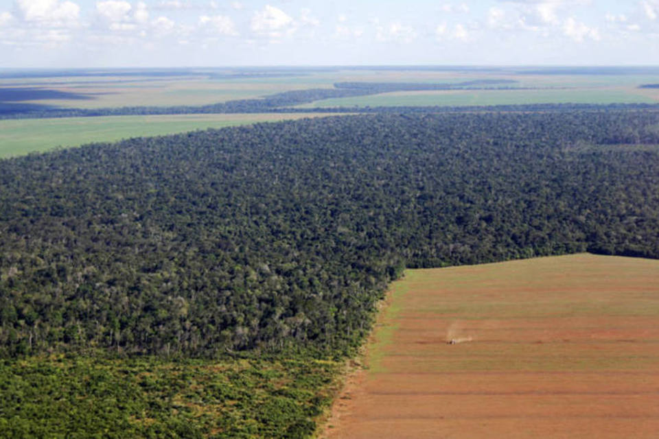 Resultado de imagem para Desmatamento na Amazônia pode atingir limite irreversível, com mudanças para vegetação rala e esparsa e baixa biodiversidade