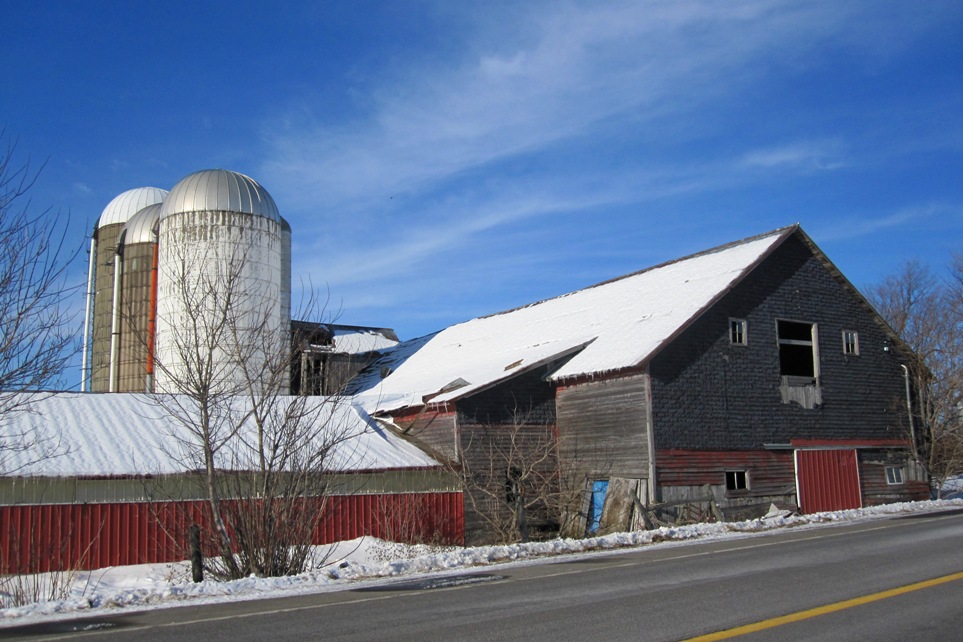 Windswept Adventure Rural East Dickinson, New York on Route 11B